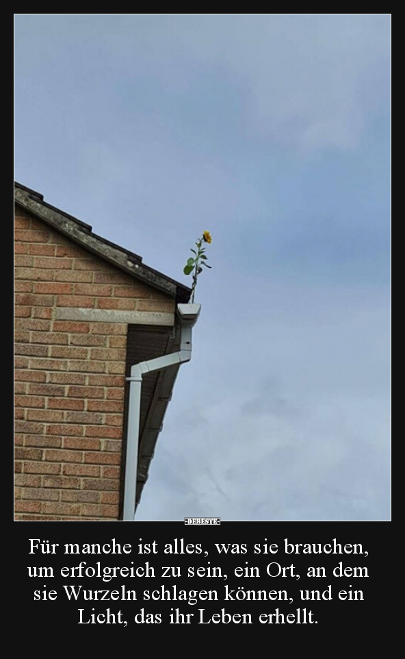 Für manche ist alles, was sie brauchen, um erfolgreich zu..