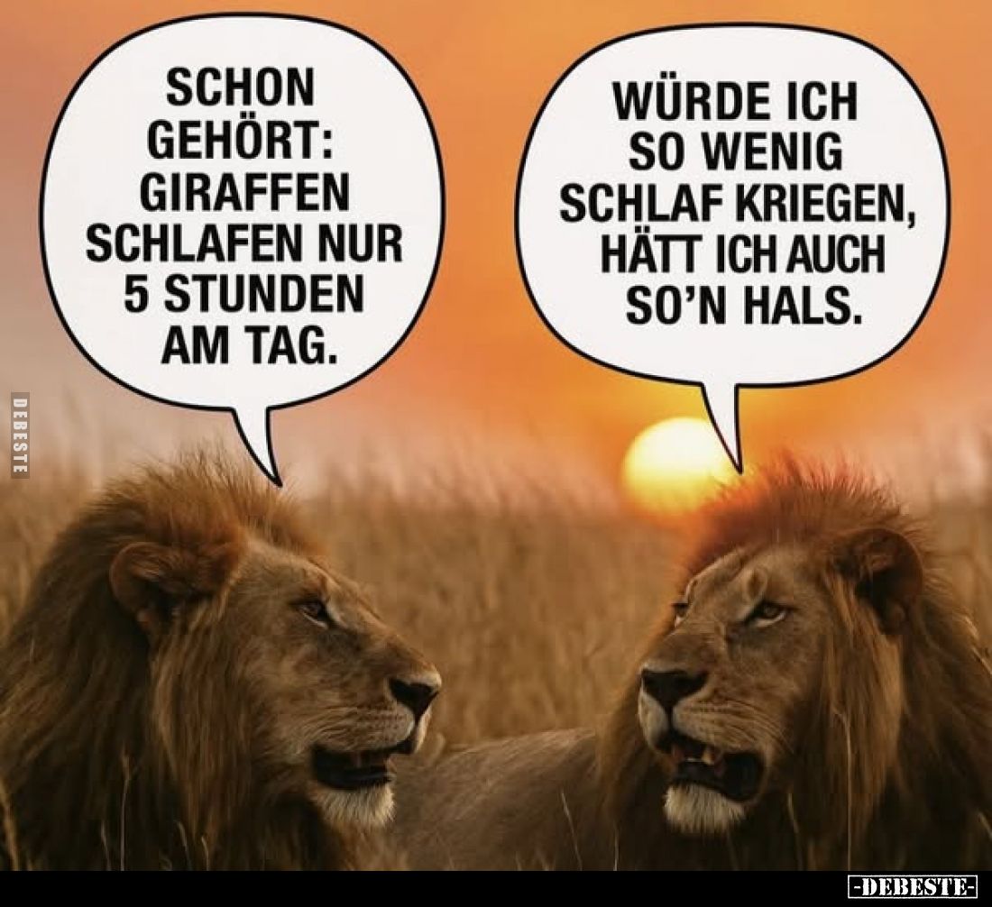 Schon gehört: Giraffen schlafen nur 5 Stunden am Tag.
-
Würde ich so wenig Schlaf kriegen, hätt ich auch so'n Hals.