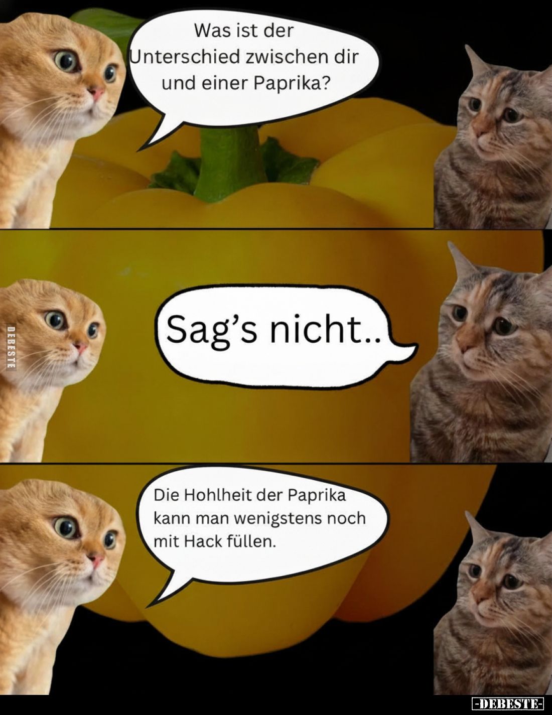 Was ist der Unterschied zwischen dir und einer Paprika?
Sag’s nicht..
Die Hohlheit der Paprika kann man wenigstens noch mit...