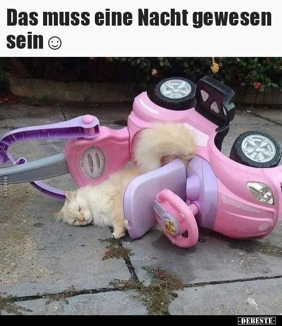 Das muss eine Nacht gewesen sein☺..