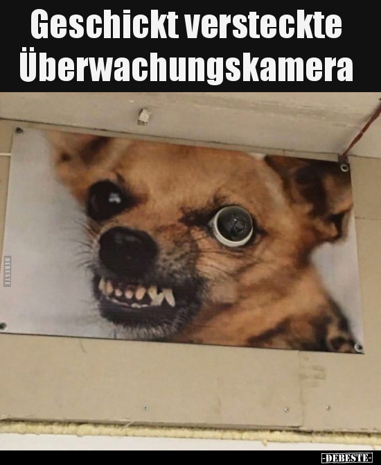 Geschickt versteckte Überwachungskamera.. - Lustige Bilder | DEBESTE.de