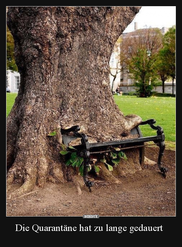 Die Quarantäne hat zu lange gedauert.. DEBESTE.de