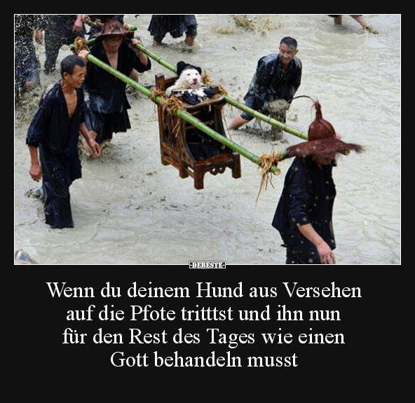 Wenn du deinem Hund aus Versehen auf die Pfote tritttst.. - Lustige Bilder | DEBESTE.de