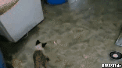 An der glatten Wand hoch..