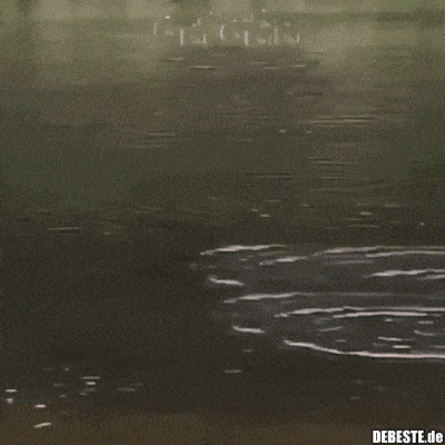  - Lustige Bilder | DEBESTE.de