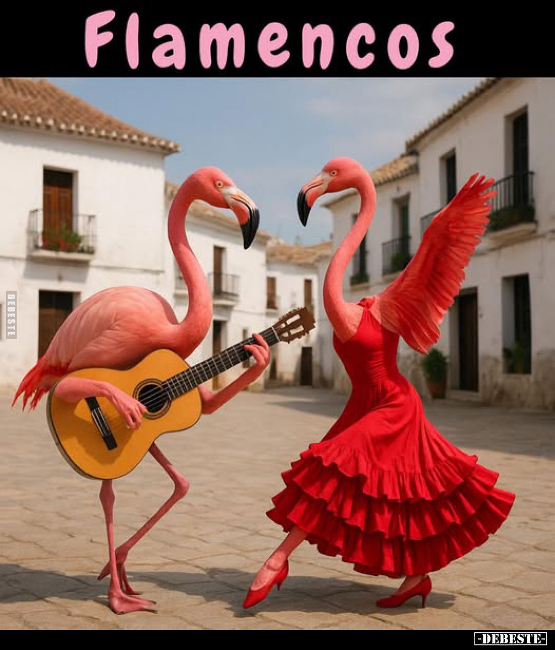 Flamencos.