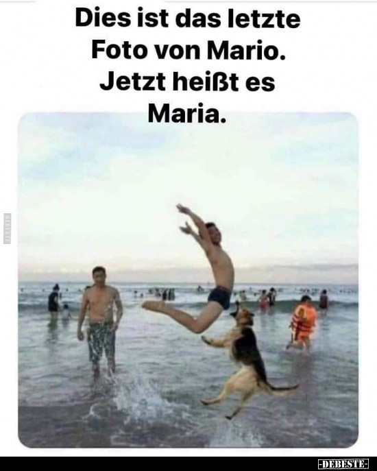 Dies ist das letzte Foto von Mario...