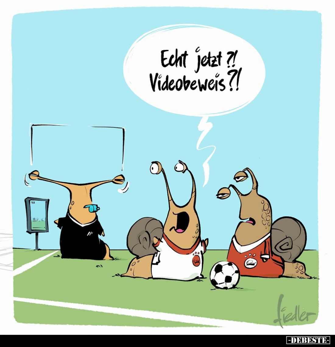 Echt jetzt?! Videobeweis?!