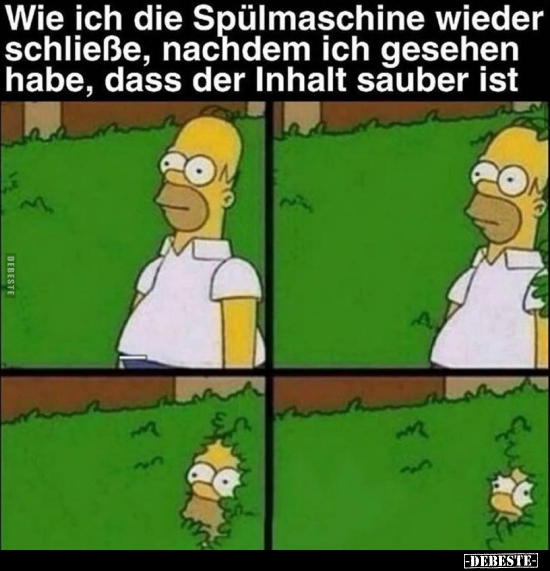 Wie ich die Spülmaschine wieder schließe, nachdem ich..