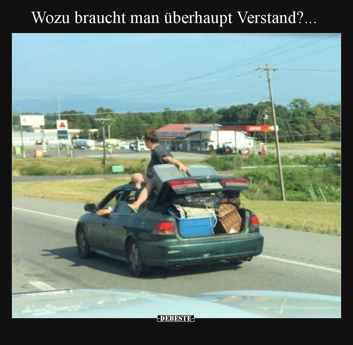 Wozu braucht man überhaupt Verstand?