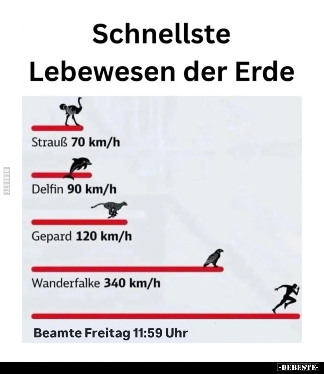 Schnellste Lebewesen der Erde.