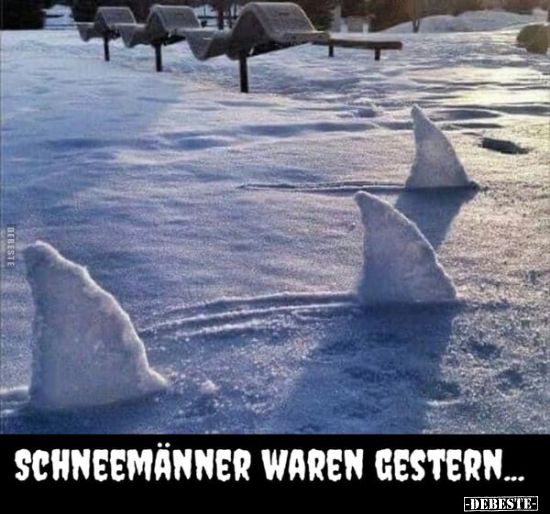 Schneemänner waren gestern... - Lustige Bilder | DEBESTE.de