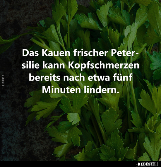 Das Kauen frischer Petersilie kann Kopfschmerzen bereits.. - Lustige Bilder | DEBESTE.de