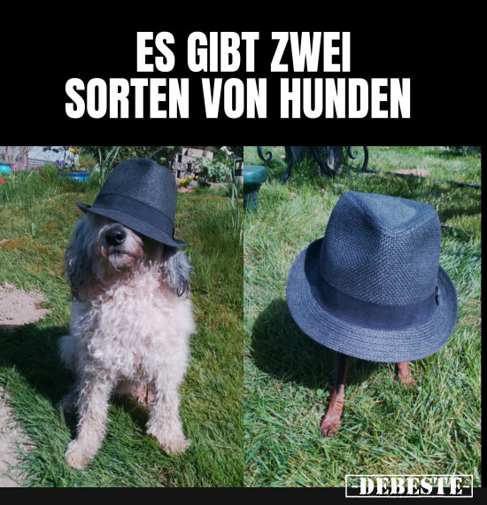 Unsere Schätzchen sind für jeden Quatsch zu haben - Lustige Bilder | DEBESTE.de