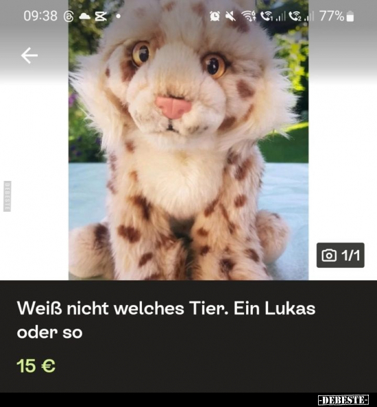 Weiß nicht welches Tier. Ein Lukas oder so 15 €.. - Lustige Bilder | DEBESTE.de