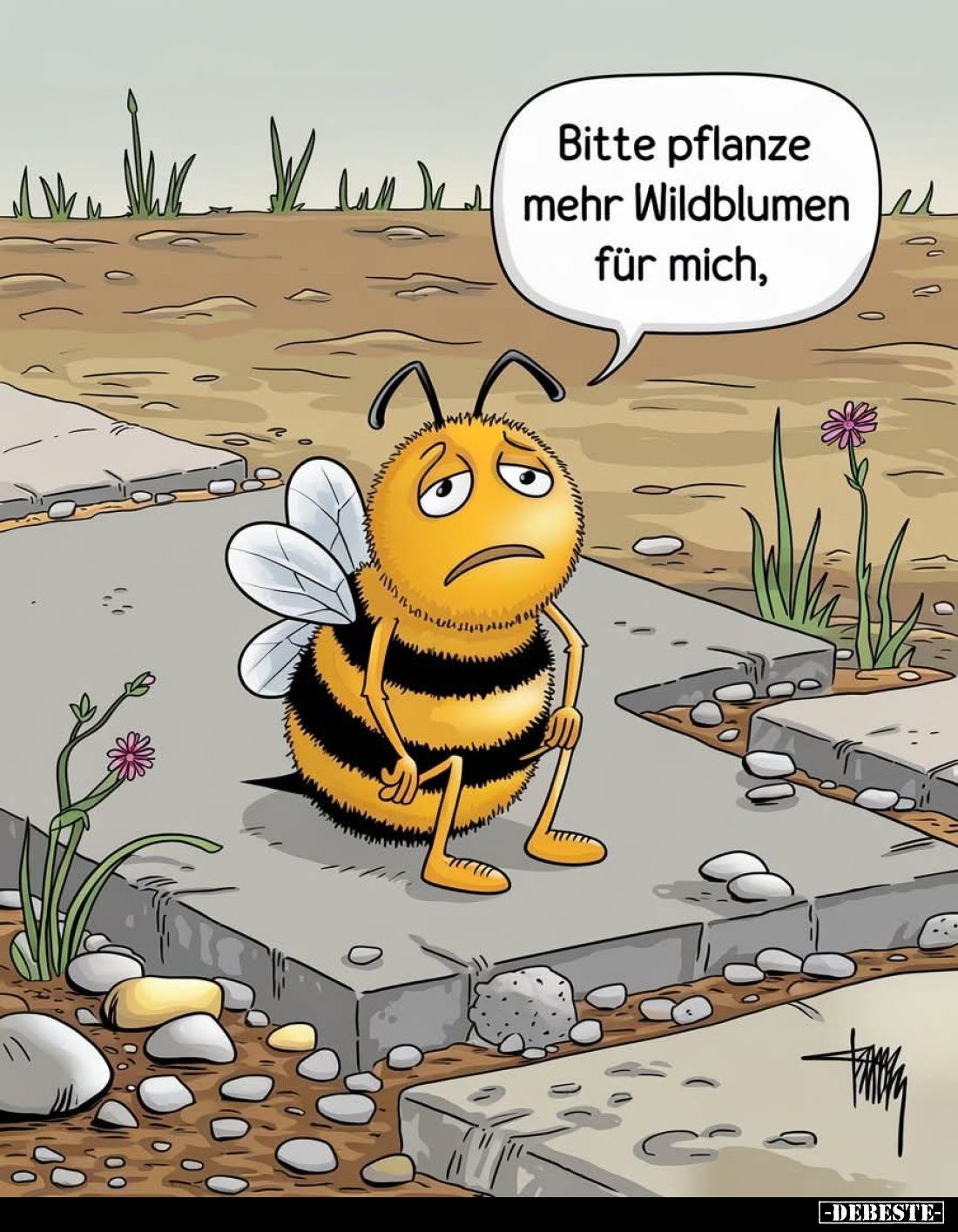 Bitte pflanzt mehr Wildblumen für mich.