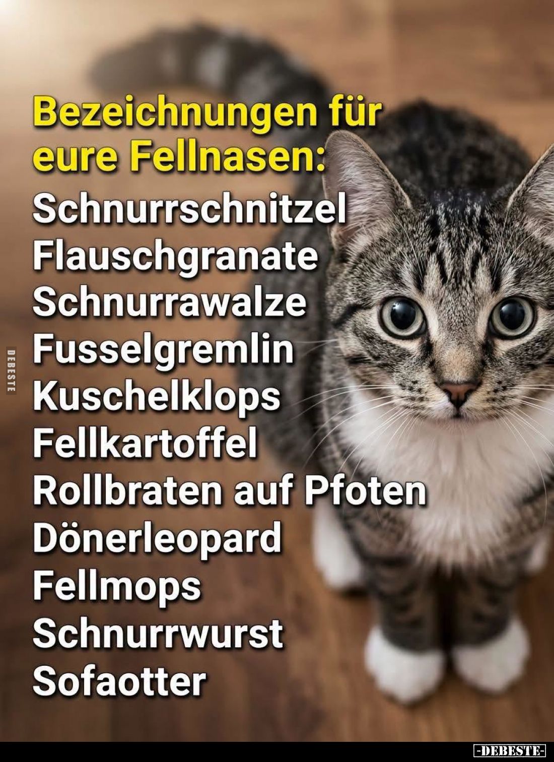 Bezeichnungen für eure Fellnasen:
Schnurrschnitzel;
Flauschgranate;
Schnurrawalze;
Fusselgremlin;
Kuschelklops;
Fellkar...