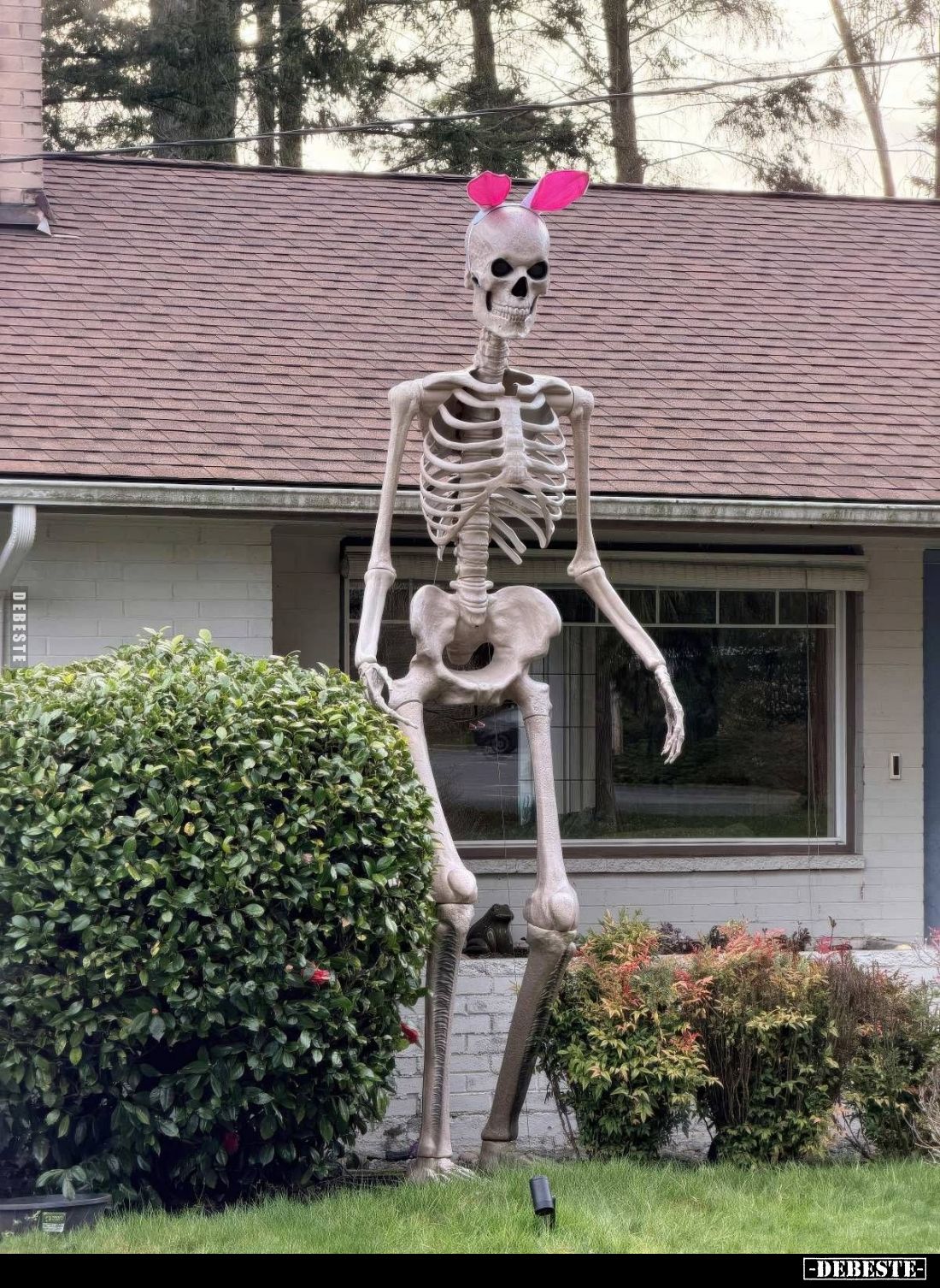  - Lustige Bilder | DEBESTE.de