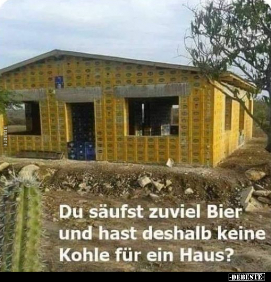 Du säufst zuviel Bier und hast deshalb keine Kohle für ein Haus?