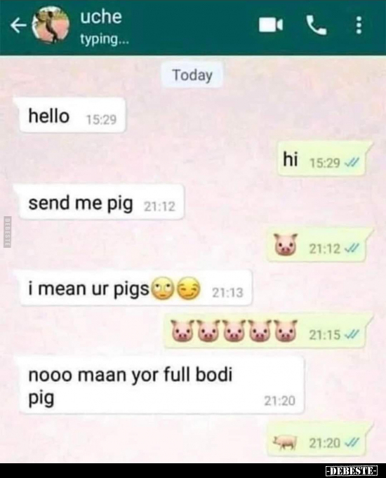 Hello. Send me  pig.. - Lustige Bilder | DEBESTE.de