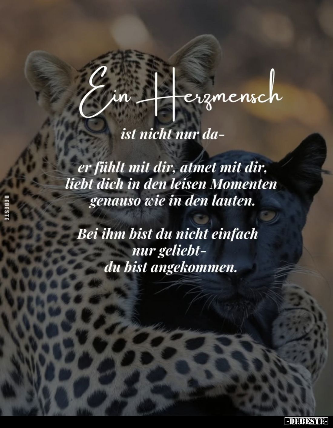 Ein Herzmensch ist nicht nur da -
er fühlt mit dir, atmet mit dir, liebt dich in den leisen Momenten genauso wie in den lau...