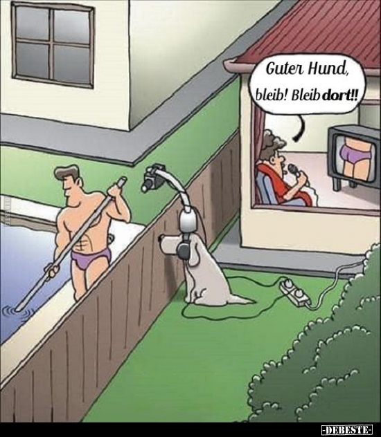 Guter Hund, bleib! Bleib dort!!.. - Lustige Bilder | DEBESTE.de