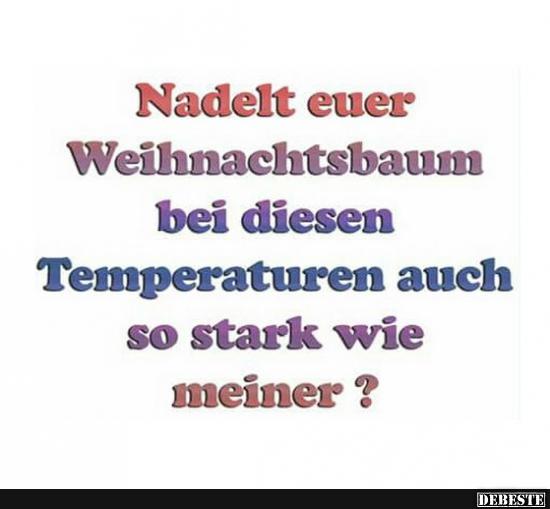 Nadelt euer Weihnachtsbaum bei diesen Temperaturen..?
