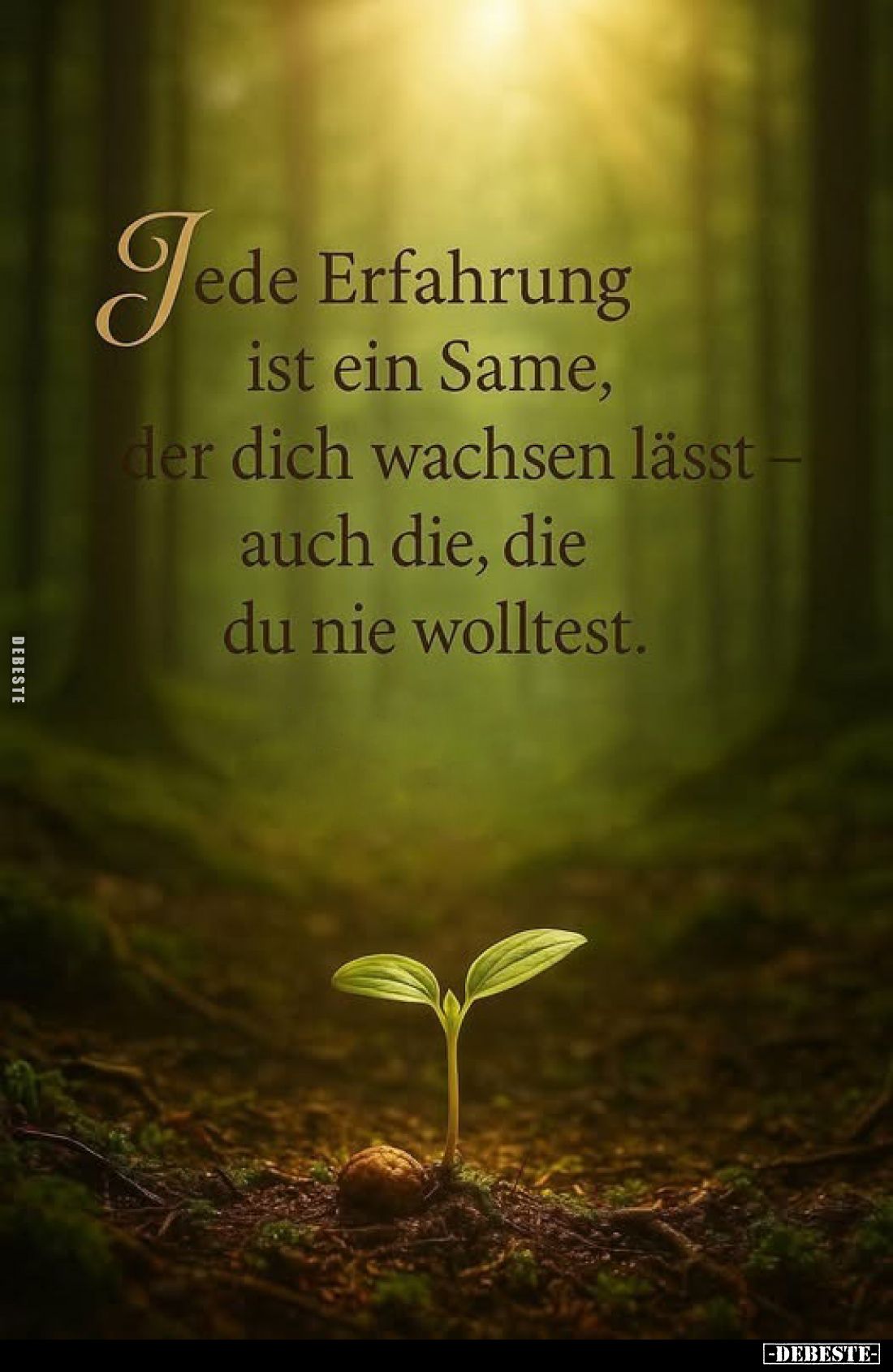 Jede Erfahrung ist ein Same, der dich wachsen lässt - auch die, die du nie wolltest.