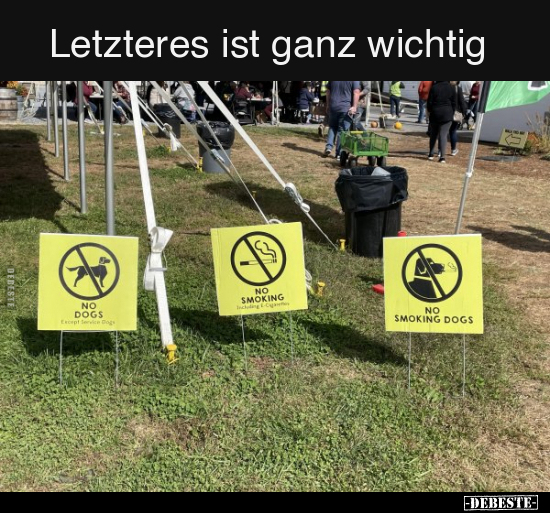 Letzteres ist ganz wichtig.. - Lustige Bilder | DEBESTE.de