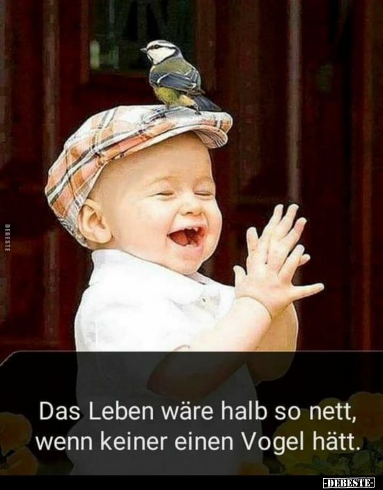 Das Leben wäre halb so nett, wenn keiner einen Vogel hätt... - Lustige Bilder | DEBESTE.de