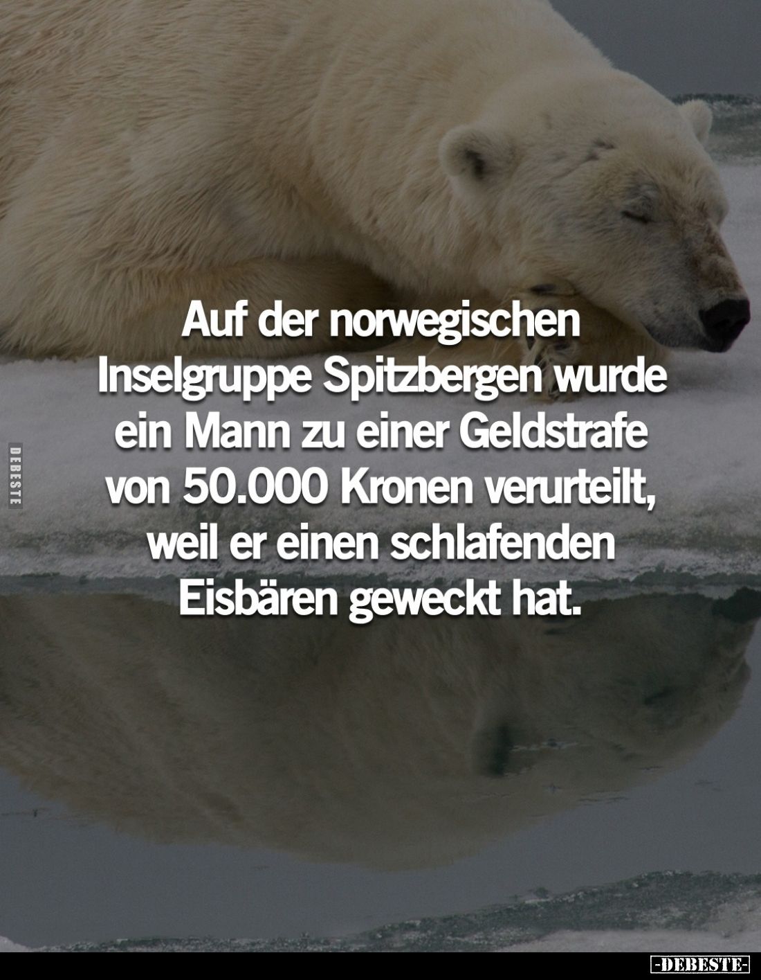 Auf der norwegischen Inselgruppe Spitzbergen wurde ein Mann zu einer Geldstrafe von 50.000 Kronen verurteilt, weil er einen s...