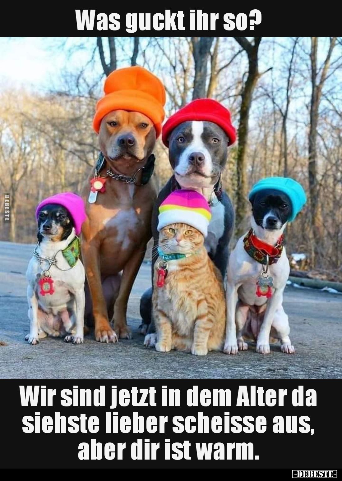 Was guckt ihr so?
Wir sind jetzt in dem Alter da siehste lieber scheisse aus, aber dir ist warm.