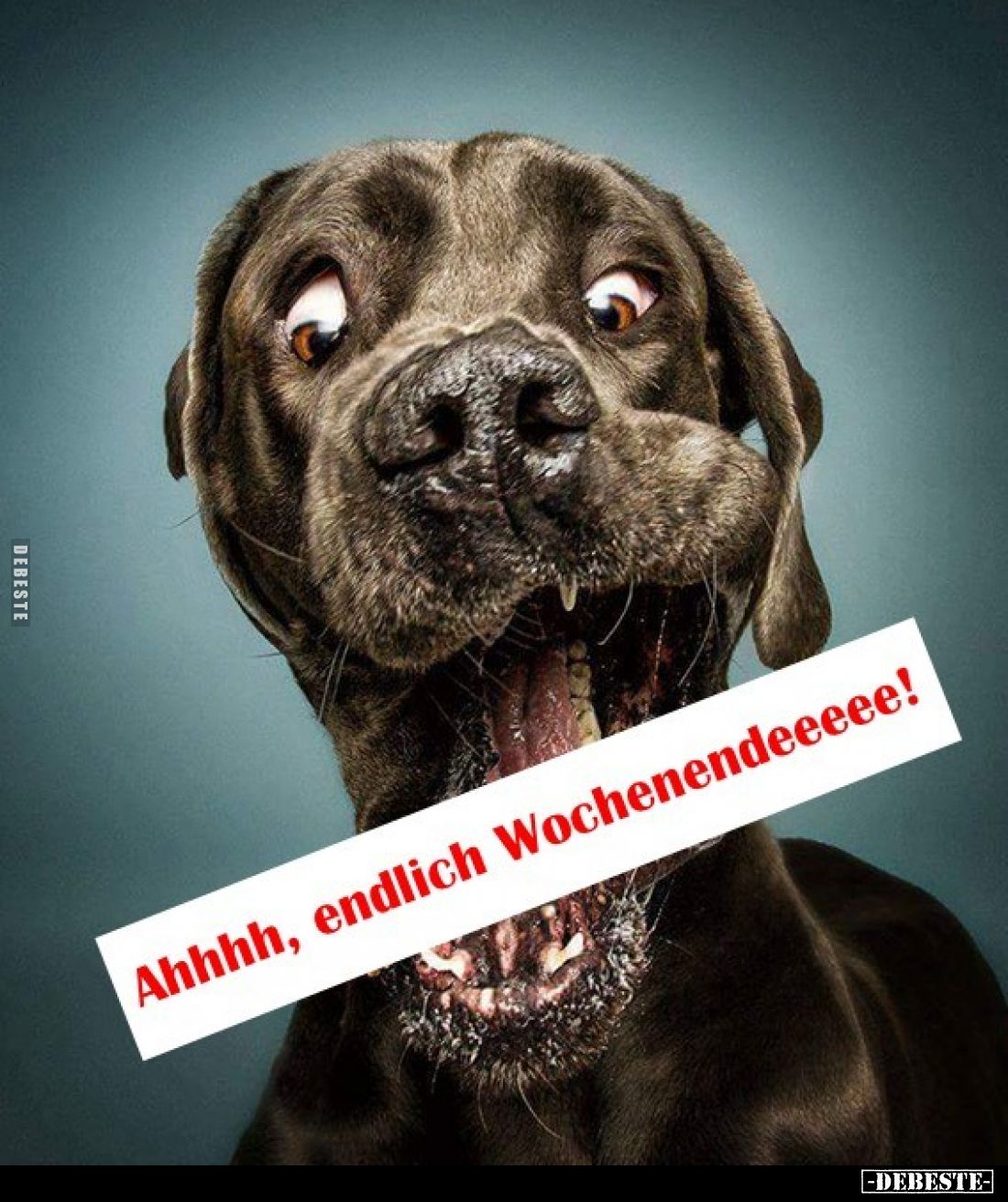 Ahhhh, endlich Wochenendeeeee!