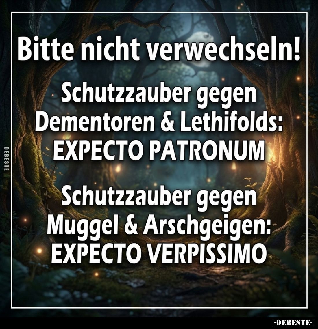 Bitte nicht verwechseln!
Schutzzauber gegen Dementoren & Lethifolds: EXPECTO PATRONUM
Schutzzauber gegen Muggel & A...