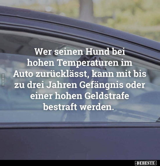 Wer seinen Hund bei hohen Temperaturen im Auto zurücklässt.. - Lustige Bilder | DEBESTE.de