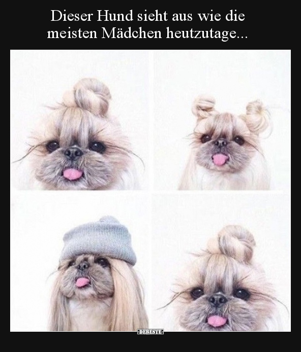 Dieser Hund sieht aus wie die meisten Mädchen.. - Lustige Bilder | DEBESTE.de