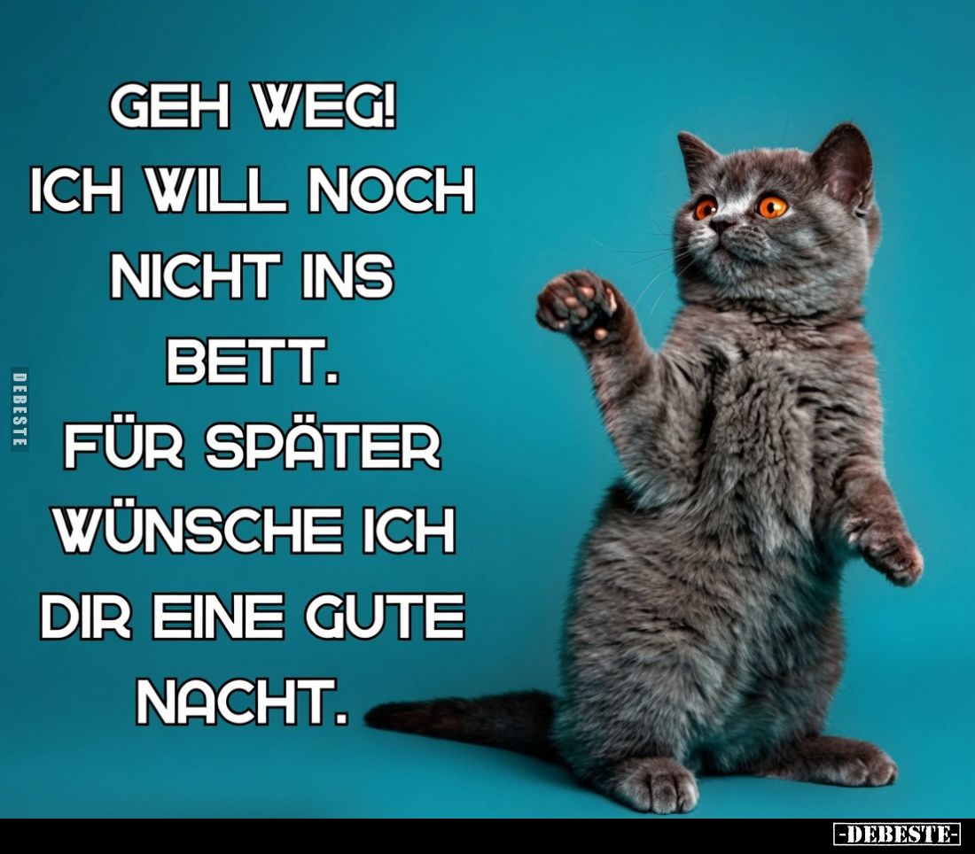 Geh weg!
Ich will noch nicht ins Bett.
Für später wünsche ich dir eine gute Nacht.