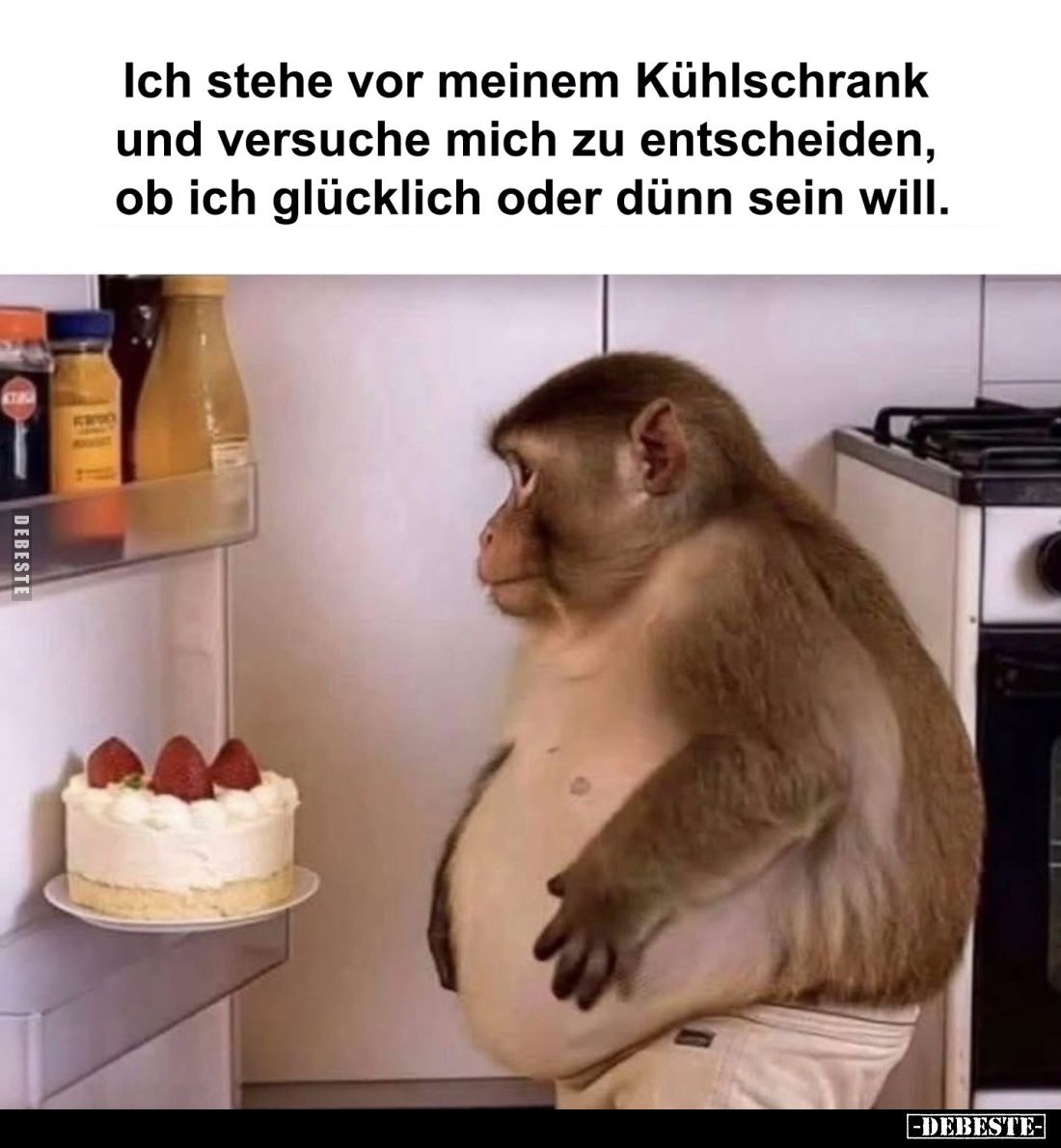 Ich stehe vor meinem Kühlschrank und versuche mich zu entscheiden, ob ich glücklich oder dünn sein will.