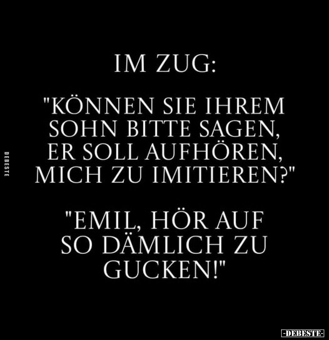 Im Zug:
"Können sie ihrem Sohn bitte sagen, er soll aufhören, mich zu imitieren?" -
"Emil, hör auf so dämlic...