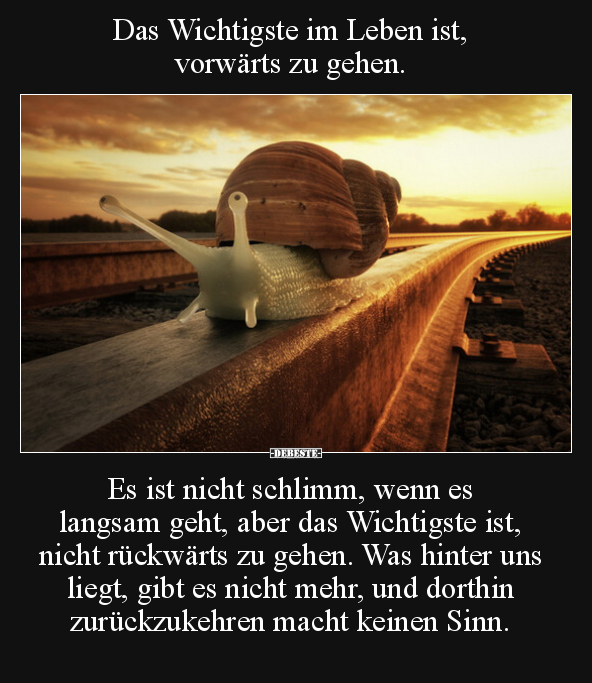 Das Wichtigste im Leben ist, vorwärts zu gehen... - Lustige Bilder | DEBESTE.de