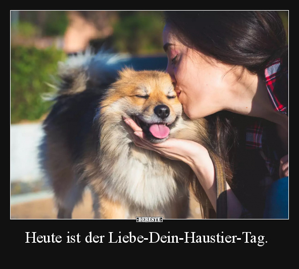 Heute ist der Liebe-Dein-Haustier-Tag... - Lustige Bilder | DEBESTE.de
