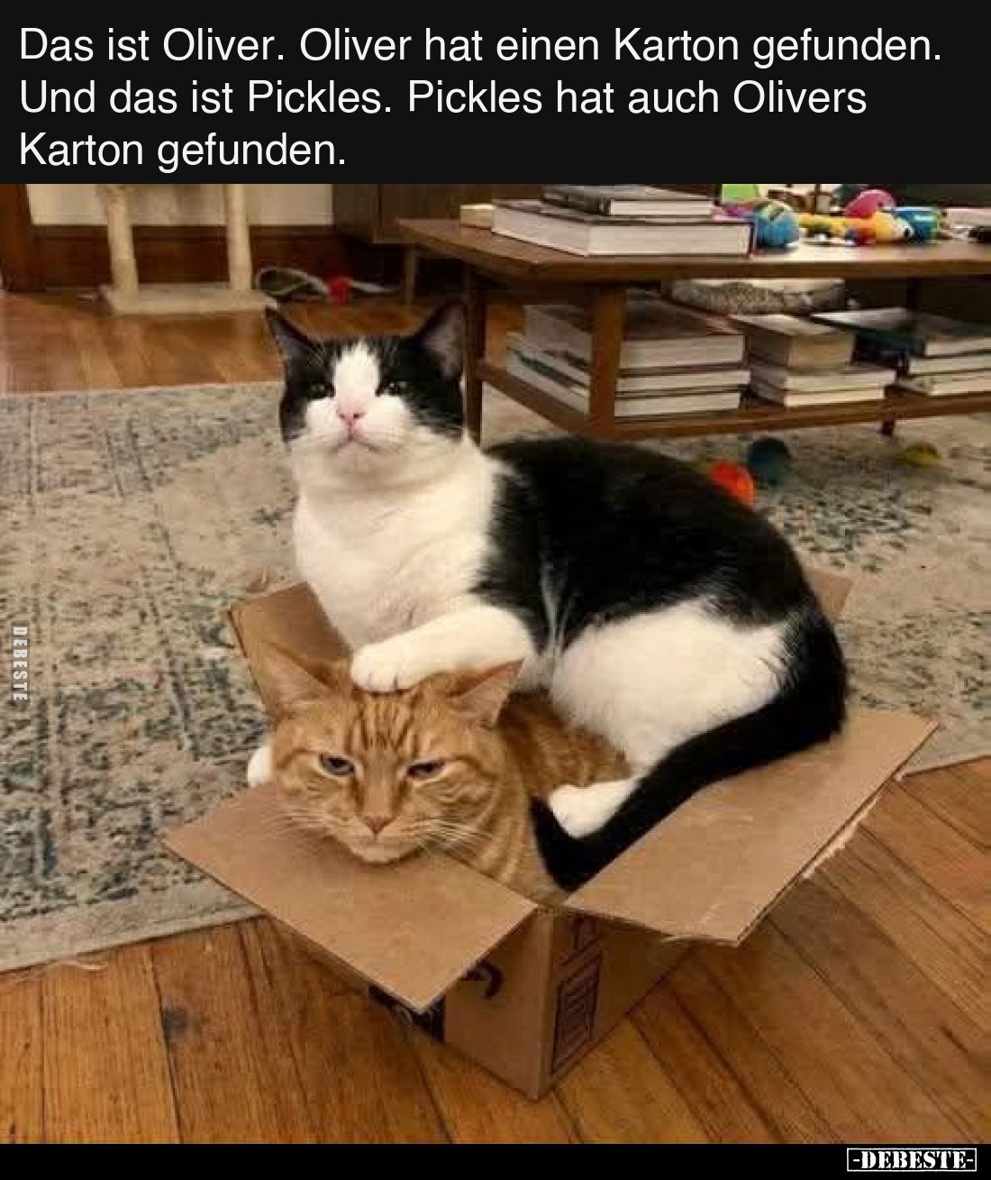 Das ist Oliver. Oliver hat einen Karton gefunden. 
Und das ist Pickles. Pickles hat auch Olivers Karton gefunden.