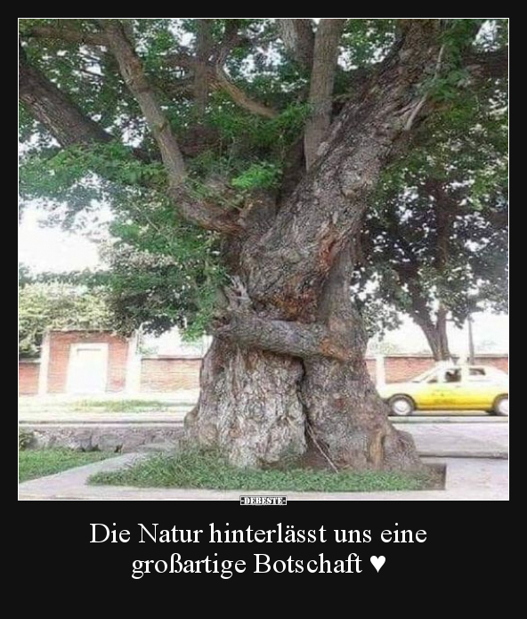 Die Natur hinterlässt uns eine großartige Botschaft.. - Lustige Bilder | DEBESTE.de