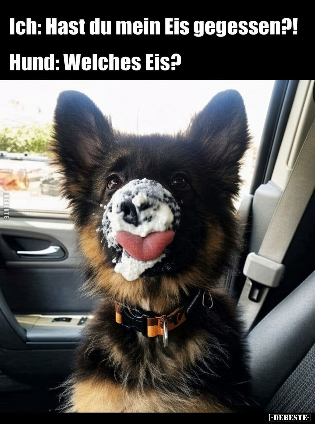 Ich: Hast du mein Eis gegessen?! -
Hund: Welches Eis?