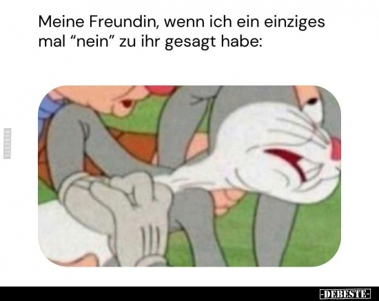 Meine Freundin, wenn ich ein einziges mal "nein".. - Lustige Bilder | DEBESTE.de