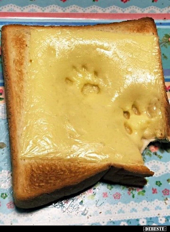  - Lustige Bilder | DEBESTE.de