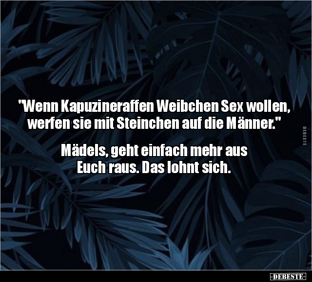 "Wenn Kapuzineraffen Weibchen S*ex wollen.. - Lustige Bilder | DEBESTE.de