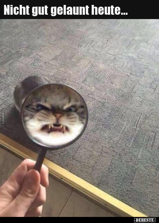 Nicht gut gelaunt heute...