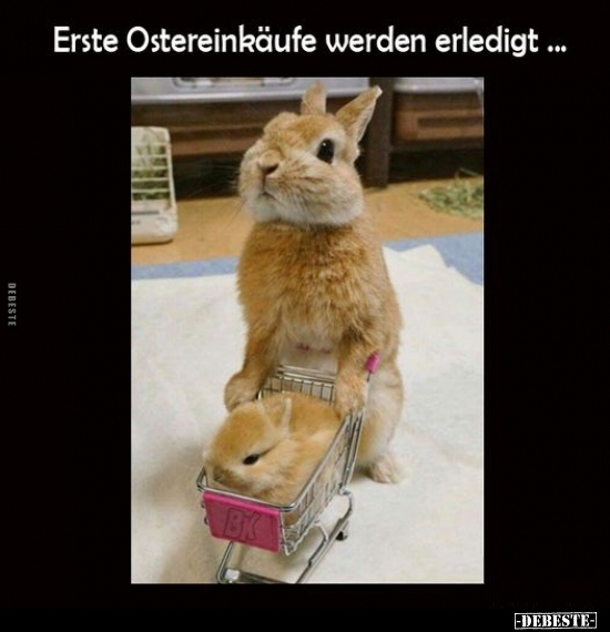 Erste Ostereinkäufe werden erledigt.. - Lustige Bilder | DEBESTE.de