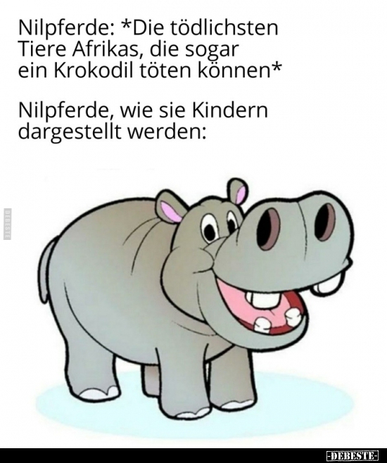 Nilpferde: *Die tödlichsten Tiere Afrikas, die sogar ein..* - Lustige Bilder | DEBESTE.de